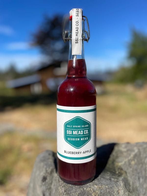 Blueberry-Apple Session Mead