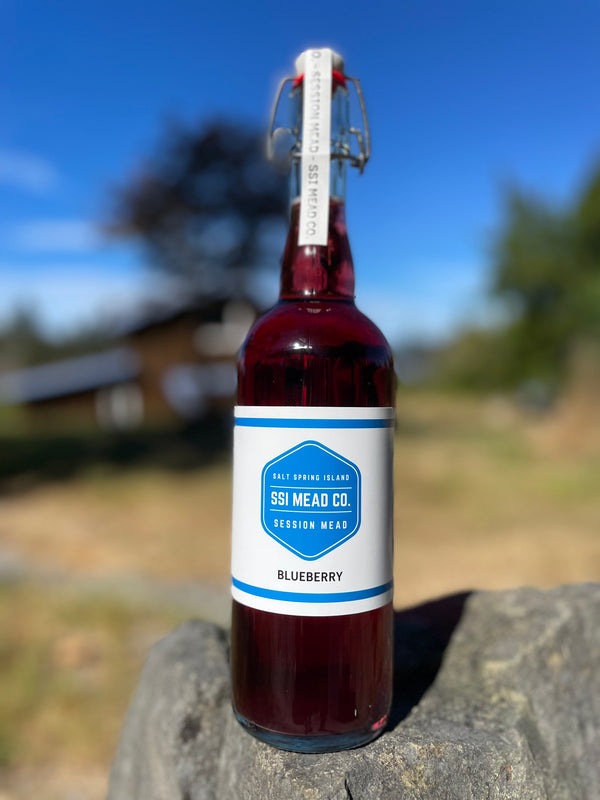 Blueberry Session Mead